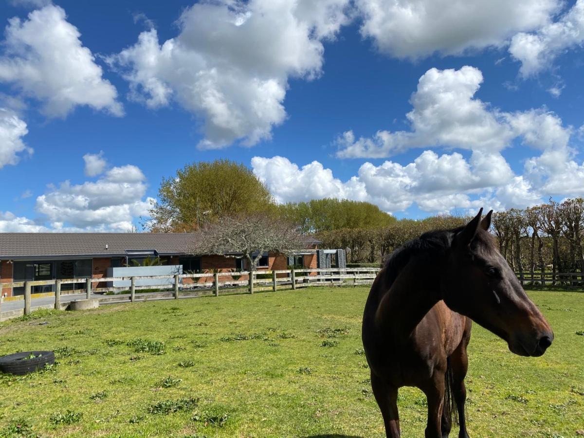 Bed and Breakfast Unique Equestrian Lifestyle Tamahere Exterior foto